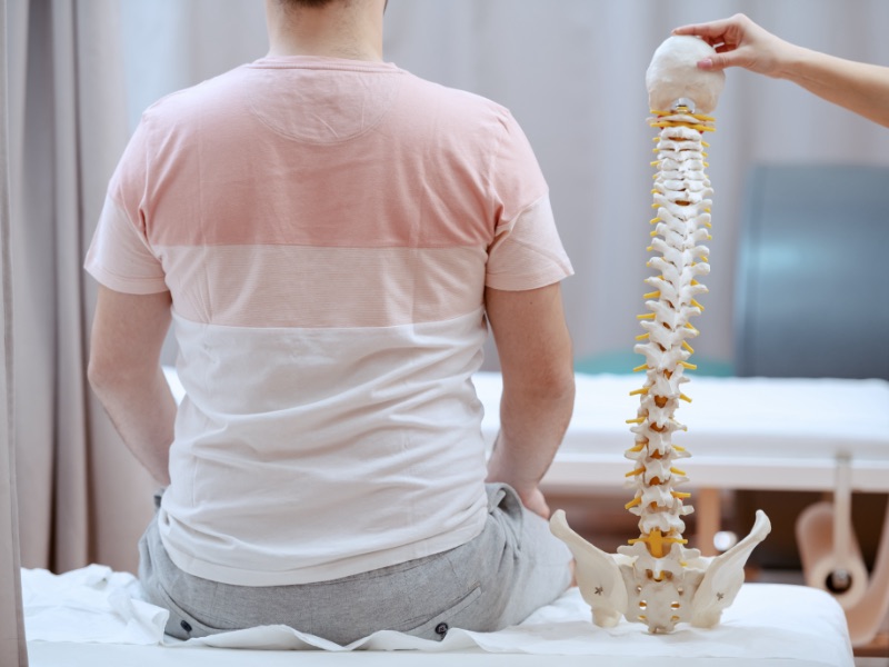 patient with back to us sitting on chiropractic table with model of spine to the right